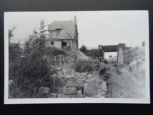 Somerset BURRINGTON Locomotive c1950/60's Real Photograph - Picture 1 of 2