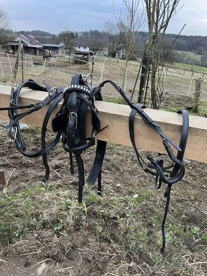 Minishetty Einspännergeschirr - Bild 1 von 3