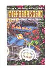 Michaelangelo Teenage Mutant Ninja Turtle #1 1985 (VF+ 8.5)~