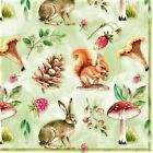 4 x Single Paper Napkin/3ply/33cm/Decoupage/Nature/Animals/Rabbit/Squirrel