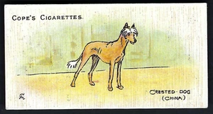 COPE - DOGS OF THE WORLD (ENGLISH) - #44 CRESTED DOG, CHINA - Imagen 1 de 2