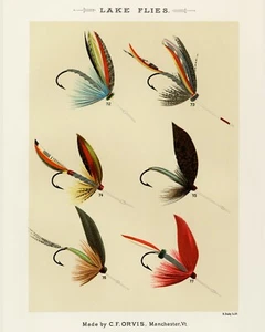 Print or Canvas  - Lake Flies  by Mary Orvis Marbury - Picture 1 of 1