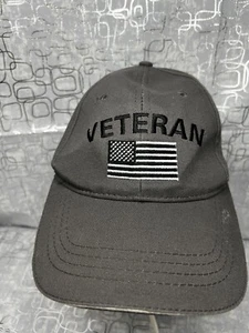 US Baseball Hat Military Veteran USA Flag Low Profile Ball cap Stearns Cty - Picture 1 of 5