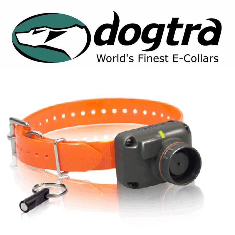 Dogtra STB Beeper Collar BEEP Sound Version for Upland Hunting Gun Dogs