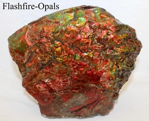14.000Carat/2.8Kg Investissement Collection Ammoilite Double Face + Video - Picture 1 of 9