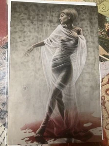Vinyl #1 - Virgin Variant - Casey Wullner Cover- Beehive Comics - Picture 1 of 9