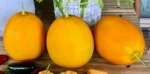 Mango Vine Peach Melon 25 Seeds Organic Melons Early Prolific Heirloom Garden - Picture 1 of 7