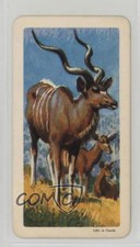 1964 Brooke Bond Red Rose African Animals Tea Canadian Black Backs Kudu #42 0j8f