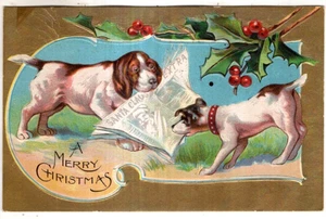 ANTIQUE EMBOSSED CHRISTMAS Postcard    PUPPIES TUGGING AT NEWSPAPER - Picture 1 of 2