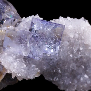 Cristales de fluorita sobre matriz de cuarzo de la mina La Viesca - España - Imagen 1 de 4