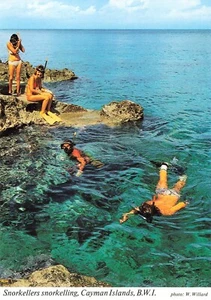 Ragazze in bikini immersioni nuoto e snorkeling alle Isole Cayman cartolina d'epoca - Foto 1 di 2
