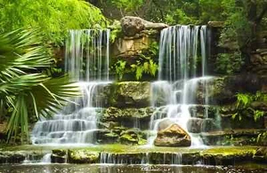 10x8ft Green Jungle Garden Scenery Waterfall Photo Background Vinyl Backdrop LB - Picture 1 of 9