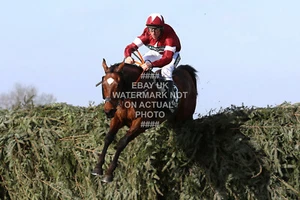 2018 TIGER ROLL DAVY RUSSELL GRAND NATIONAL AINTREE PHOTO PRINT HORSE RACING - Picture 1 of 1