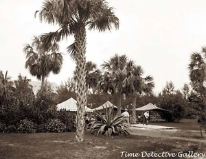 Golf Among the Palms, Palm Beach, Florida - 1900 - Impresión fotográfica histórica - Imagen 1 de 1