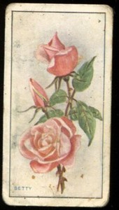 Tobacco Card, CWS, ENGLISH ROSES, 1924, Betty, #4
