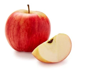 1(One) Live Plants of "SEEDLING LADY ALICE APPLE" about 7-10" tall - Picture 1 of 3