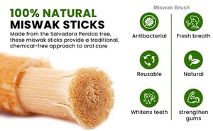 Miswak: palo de cepillo de dientes natural 100% grueso natural miswak de madera de GROOMARANG - Imagen 1 de 21