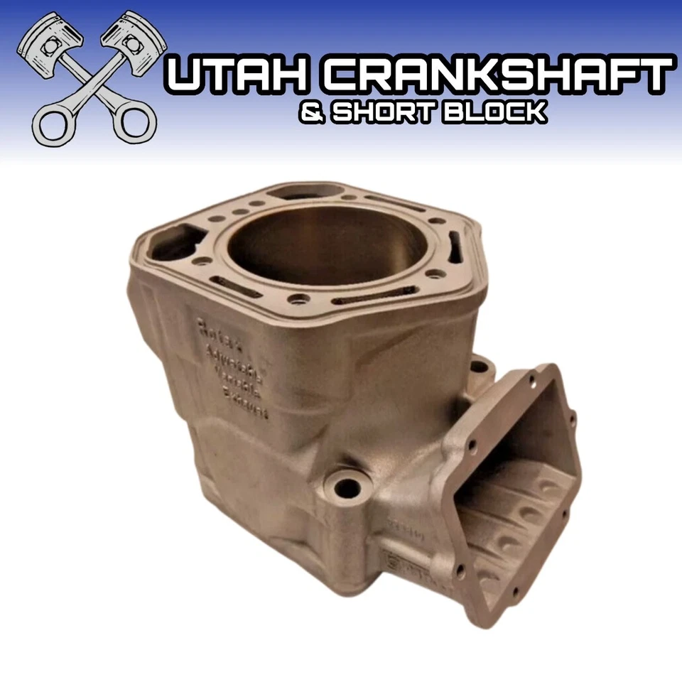 Re-Plated 2000 Ski-Doo 800 Cylinder MX Z MXZ Summit 82mm STD 923810 1B5A1 - Изображение 1 из 4