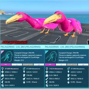 Pelagornis Mating Pair - High Stat Solid Pink - Ark Survival Ascended PVE - Picture 1 of 2