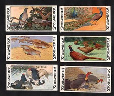 Stollwerck Animal World 1903 Card Set Series 14 Game Birds Pigeon Pheasant Grous