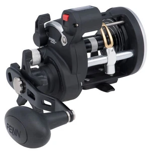 Penn Rival Linecounter Level Wind 20 Reel - Rechtshand Multirolle, Angelrolle - Bild 1 von 1