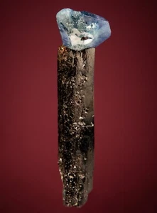 Benitoite on Neptunite Dallas Gem Mine, San Benito County, California 1906-N035 - Picture 1 of 5