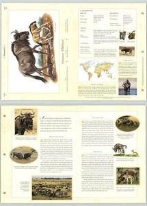 Common Wildebeest #12 Mammals - Illustrated Animal Library Fold-out Page & Print - Picture 1 of 2