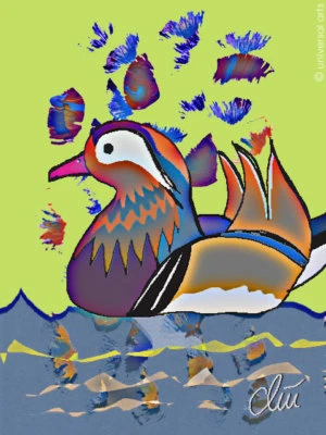 JACQUELINE DITT - Mandarinente limit.Original Druck Grafik signiert L Ente Bild - Bild 1 von 3