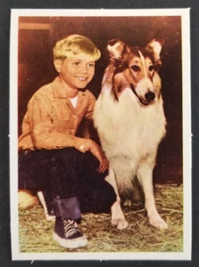 Lassie Dog 1960's TV Show Card #42 (NM) - Picture 1 of 2