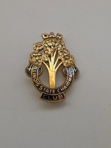 Daughters Of The American Revolution DAR Illinois State Chairman Club Pin - Picture 1 of 6