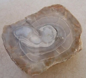 Champagne Agate Face Polished Piece for Display or Rough - Picture 1 of 5