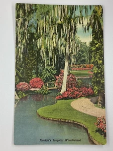 Postcard Cypress Gardens Bridges Canals Lagoons Paradise Florida FL H374 - Picture 1 of 2