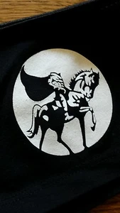 Headless Horseman Halloween Tarrytown NY collectible black boyshort hipster S - Picture 1 of 4