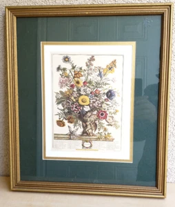 Vintage November Flowers Art Print  from 12 MONTH OF FLOWERS Paintings by Fle - Picture 1 of 9