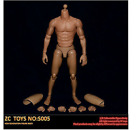 ZCToys S005 1/6 Narrow Shoulder Muscular Super Flexible Male Figure Body model