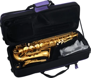 SAXOPHONE ALTO MIb LAITON VERNI SML A620-II - Photo 1/5