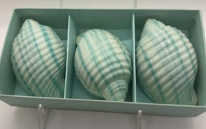 Benandre Sculptured Set of 3 Shell Soaps Green New NIB by Ben Rickert - Picture 1 of 3
