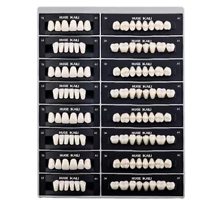 JMU Dentadura de resina acrílica dental dientes postizos A1 A2 A3 Juego completo superior e inferior - Imagen 1 de 13