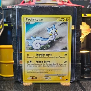 Pachirisu POP Series 9 Promo Pokémon TCG 10/17 Uncommon - Picture 1 of 6