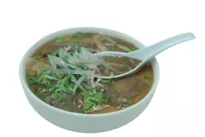Display Faux Food Prop PHO -SHO Bowl Of Pho New - Picture 1 of 1