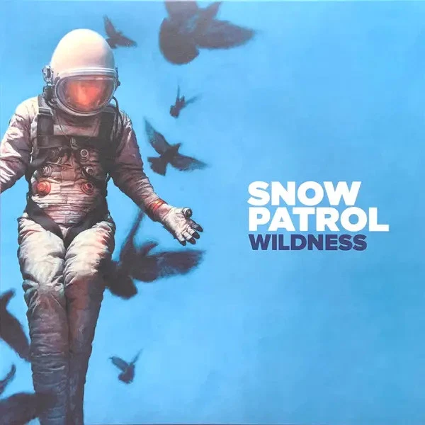 Snow Patrol Wildness NEAR MINT Polydor Vinyl LP - Bild 1 von 1