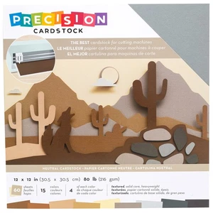 American Crafts Precision Cardstock Pack 80lb 12"X12" 60/Pkg-Neutral/Textured - Picture 1 of 1