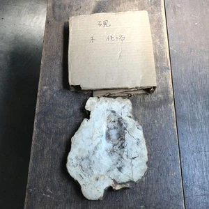 Rare Items Fossil Wood Inkstones Natural Stones Calligraphy Antiques Collectible - Imagen 1 de 6
