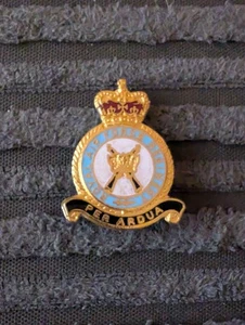 Original Royal Air Force RAF Squadron Lapel Badge (S1) - Picture 1 of 3