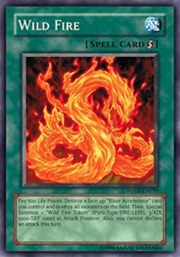 Wild Fire - FOTB-EN039 - Common - 1st Edition - Heavily Played - Image 1 of 1