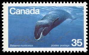 Canada Stamp #814 - Bowhead Whale (1979) 35¢ - Picture 1 of 1