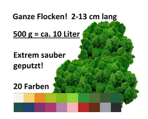 Muwse 500g kein Dreck sauberes Rentier- Islandmoos ganze Flocken gefärbt haltbar - Bild 1 von 23