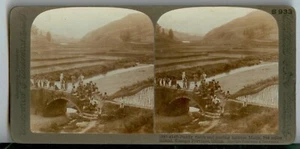 c1900 Matin Kiangsi Province China natives on bridge stereo photo - Bild 1 von 1