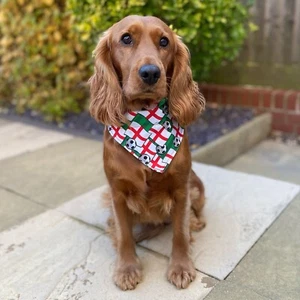 England Football Flag Dog Bandana Neckerchief Slide on Collar World Cup - Picture 1 of 5