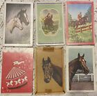 ?? Vintage 1950?S Horse Swap Trading Cards